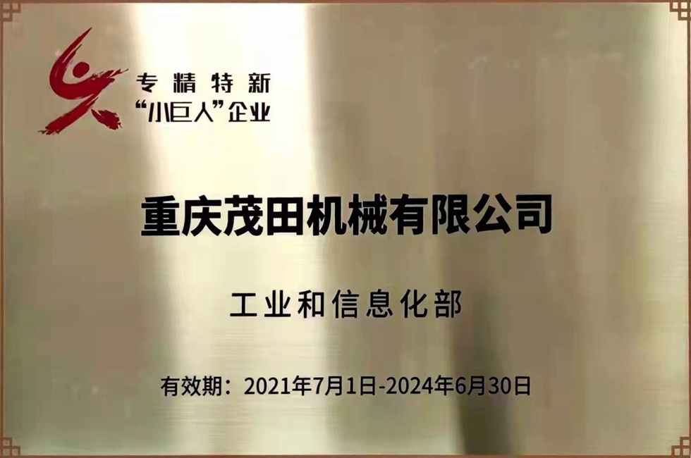 国家小巨人证书